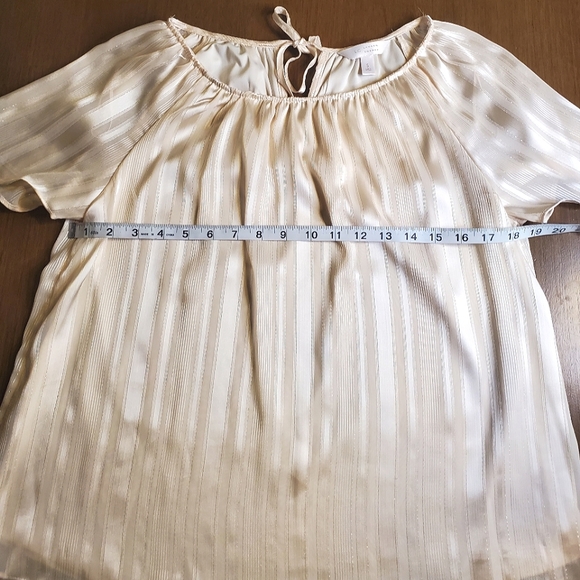 Lauren Conrad  Short Sleeve Shirt - Picture 11 of 14